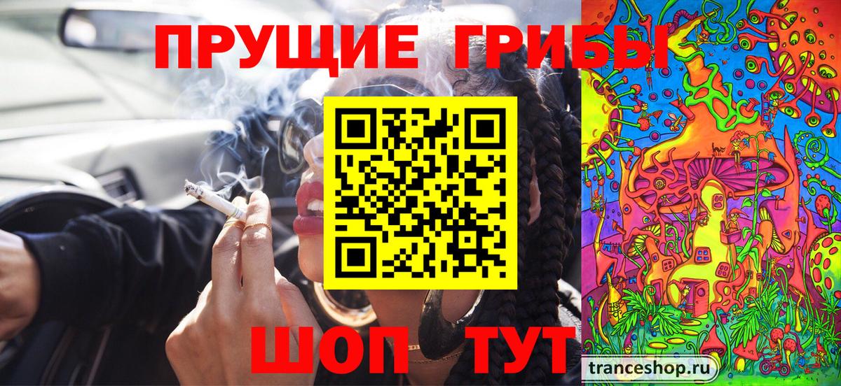 Псилоцибиновые грибы прущие грибы  хочу наркоту  Вход с VPN  Зеленодольск  Псилоцибиновые грибы Psilocybine cubensis 